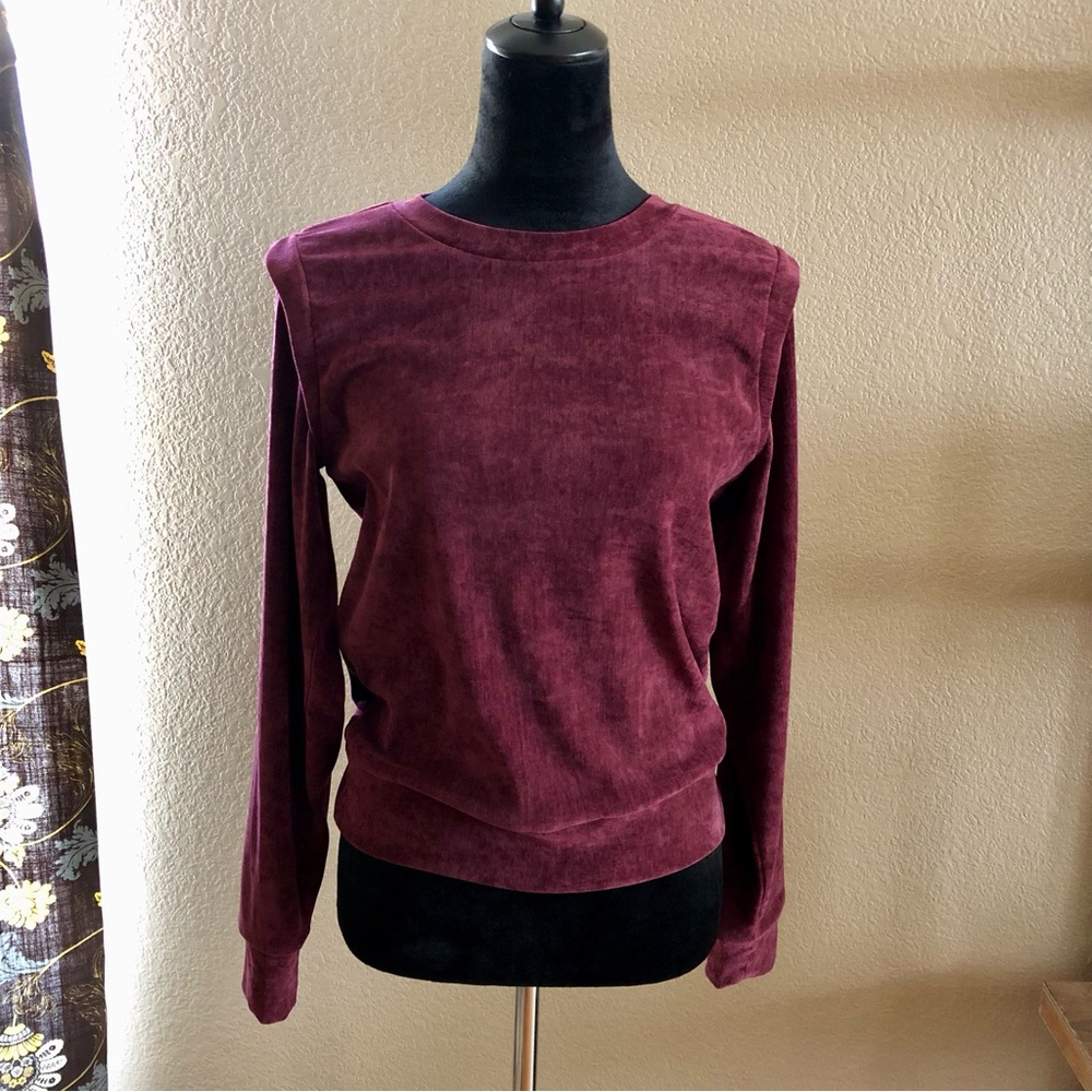 Evereve Burgundy velour crew neck pullover
